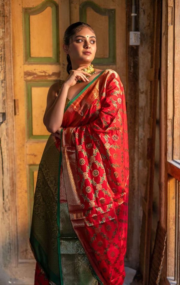Rajpath Aahana Patola Silk Weaving Saree – Traditional Elegance from Surat