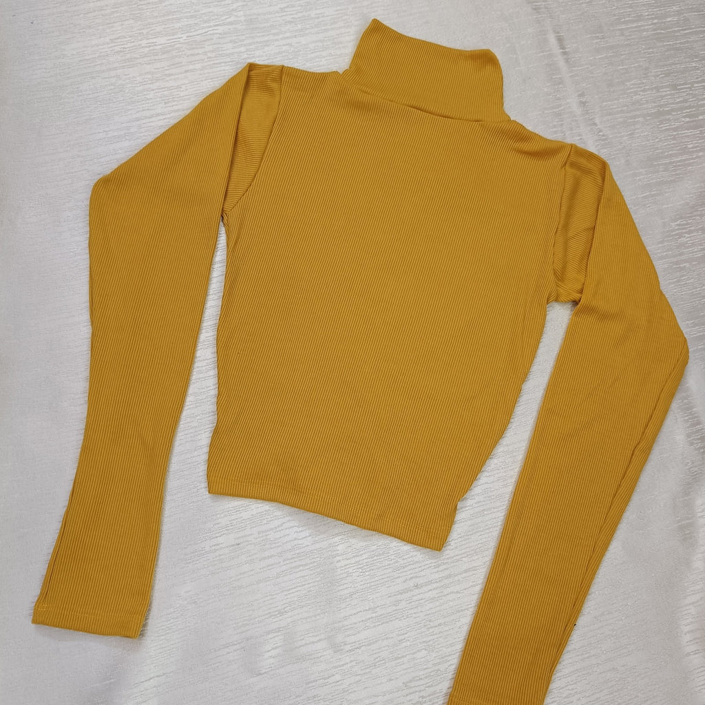 High Neck Lace-Up Ribbed Crop Top